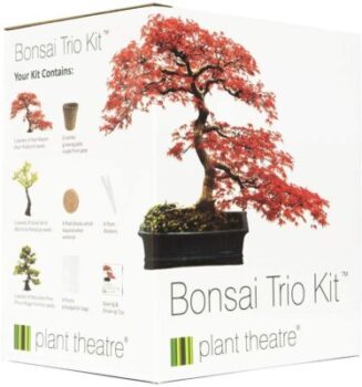 Plant Theatre Bonsai Trio - Kit de 3 árboles de bonsái 56