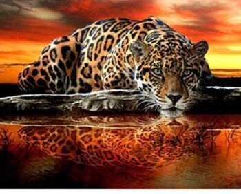 Qingdewan Tiger Sunset - 1000 piezas 16