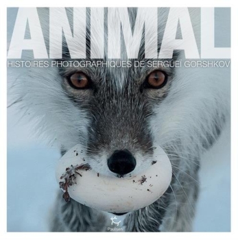 Animal 7