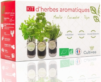 Cultivea Kit de hierbas aromáticas listas para cultivar 22