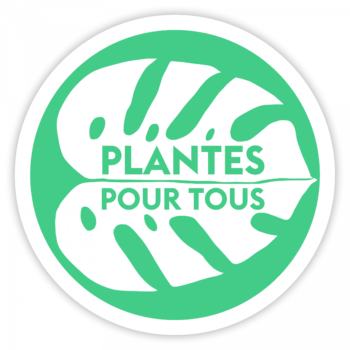 Plante Pour Tous - El centro de jardinería a bajo coste 2